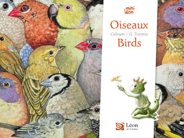 Oiseaux / Birds